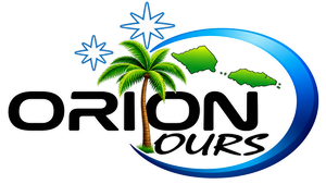 Business logo - Orion Tours