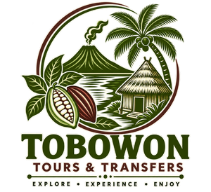 Logo for Tobowon Tours & Transfers