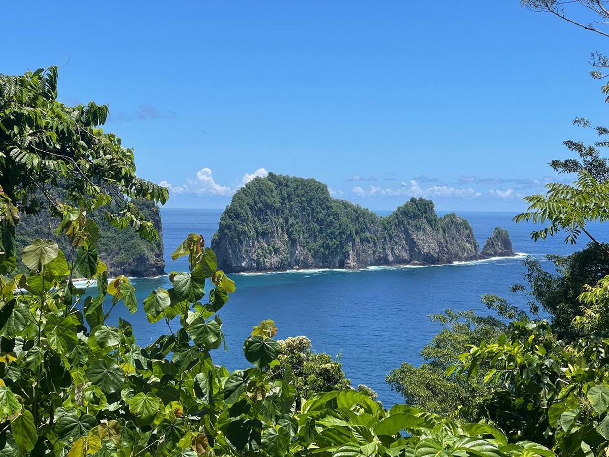 National Park Plus Tour
