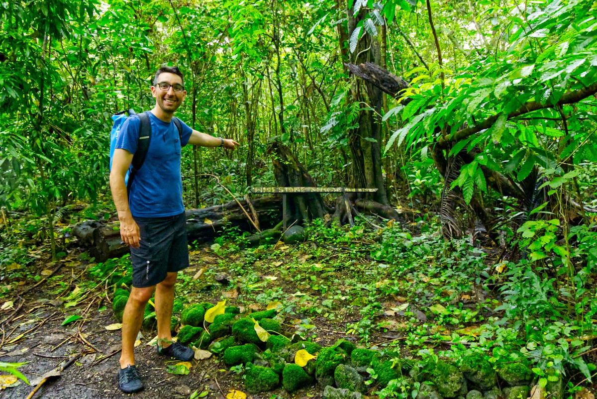 Chief Roimata Domain Full-Day Tour