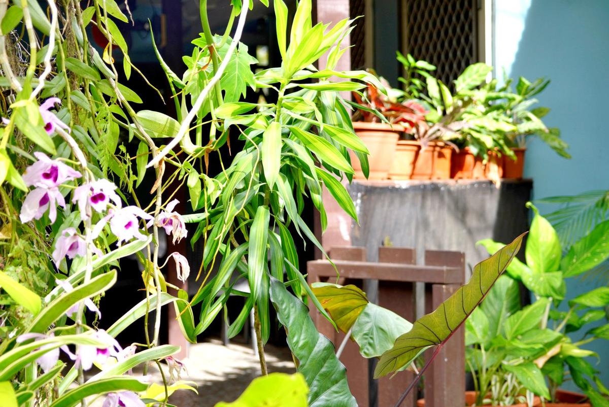 Deluxe Room offered by Eden at the Park