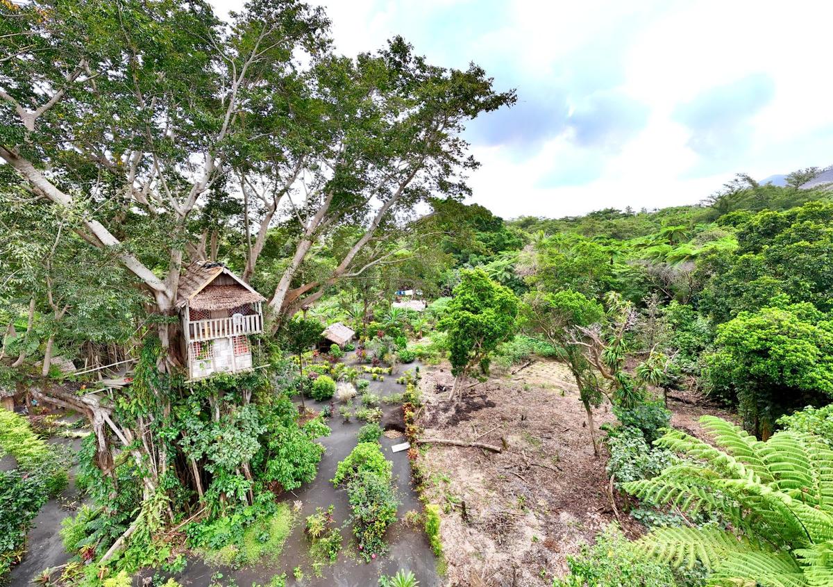 Glowing Mountain View Tree House offered by Glowing Mountain View Tree House