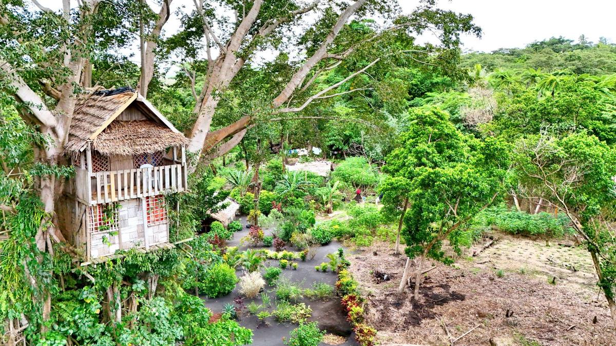 Tree House Upper Floor