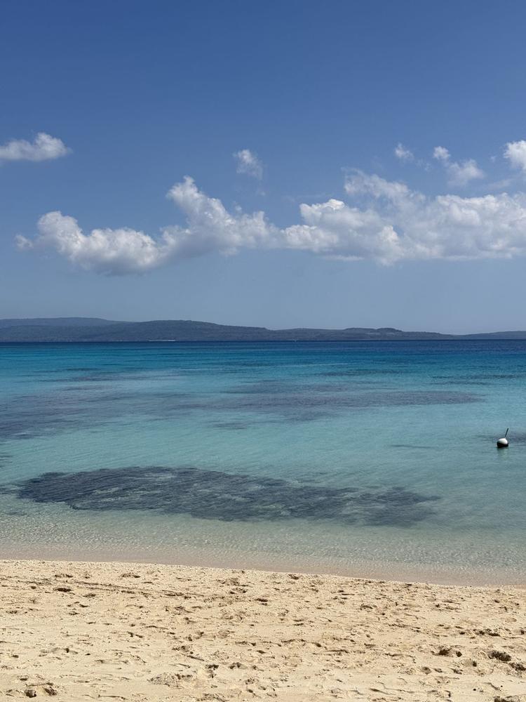 Pele Island Beach & Snorkelling Tour
