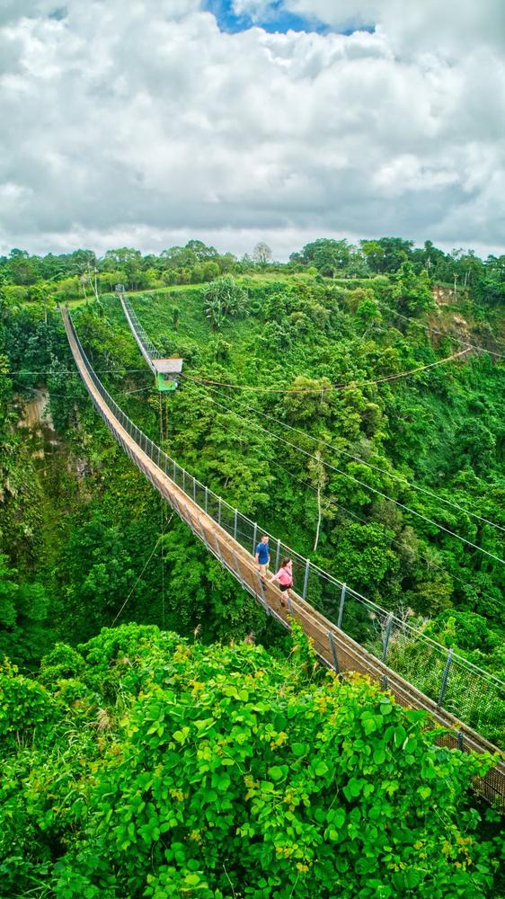 Sky Bridge, Coffee Factory & Mele Cascade offered by Island Breeze Tours & Transfers
