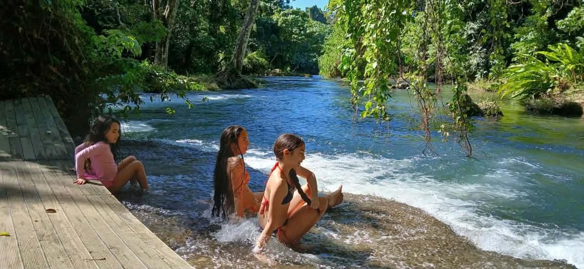 Full-Day Tour of Port Vila (3 Trip Options)