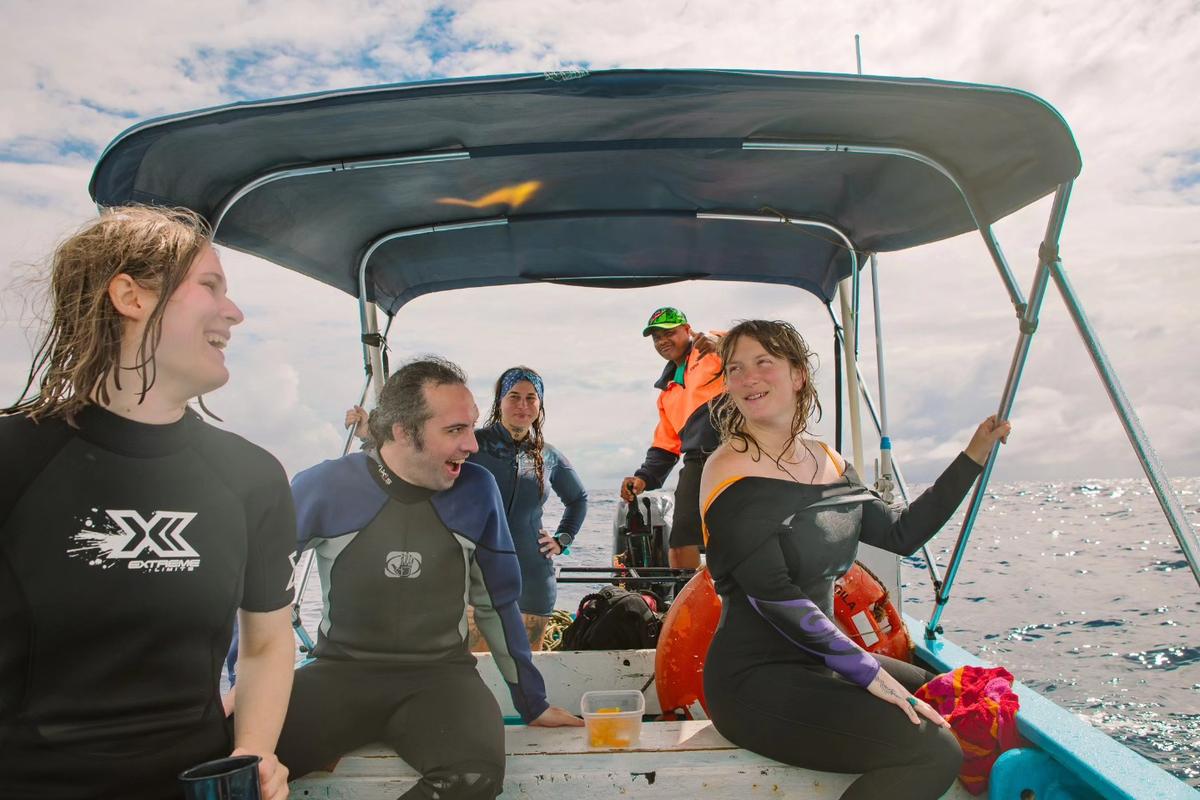 Whale Swimming in 'Eua (Stay Tonga) offered by Robino's Tours Extravaganza