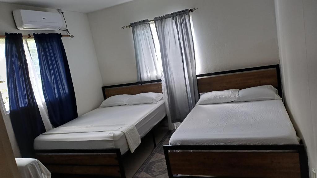 Tongan Homestay