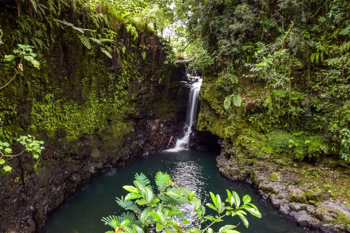 Full-Day Upolu Tour by Terra Samoa Adventures offered by Pioneer Rentals & Terra Samoa Adventures