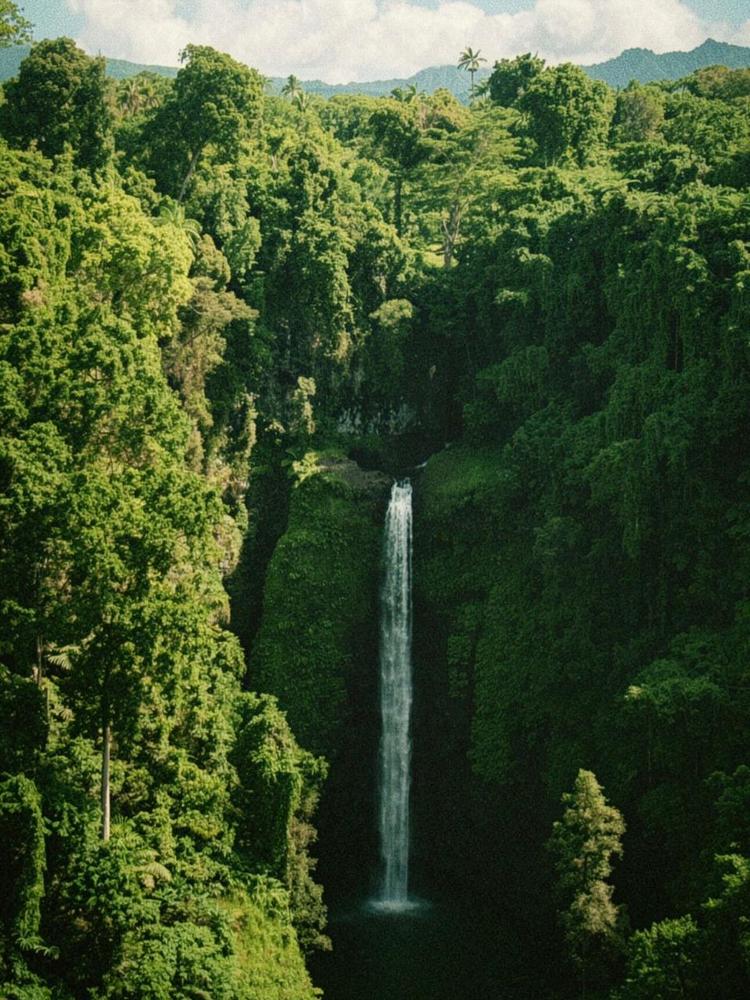Mt Puke Guided Hike TEST Two offered by Wallis Futuna Test Tour