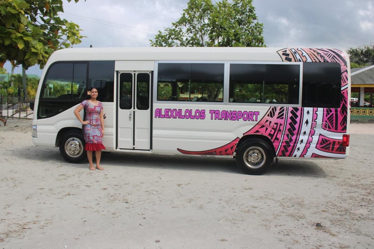 Airport - Hotel Transport offered by AlexNLolos Transport & Tours