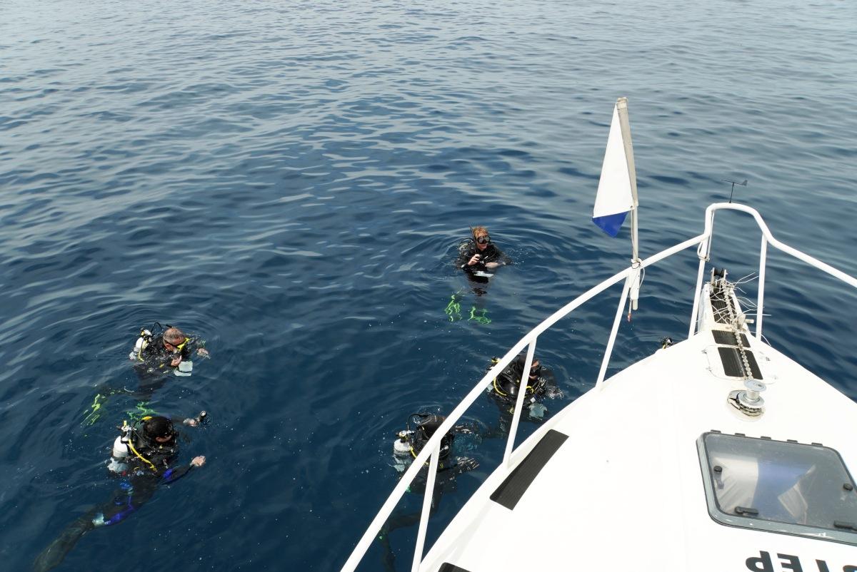 Multi-Day Scuba Course offered by Robino's Tours Extravaganza