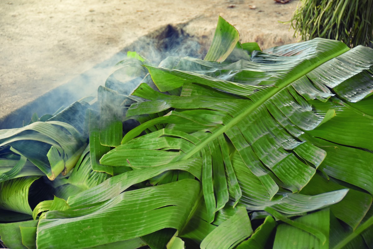 Package 2: Samoa Village Experience - Live the Tradition offered by Green Escape Tours