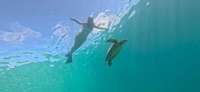Review of Green Turtle Tours from Emma Sealie