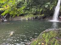 Review of Coconut Tours & Transport Samoa from Lisa Tepania