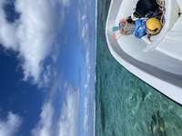 Review of Manoa Tours from AG Paterson