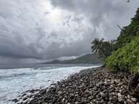 Review of North Shore Tours from Stsn Van Vijfeijken